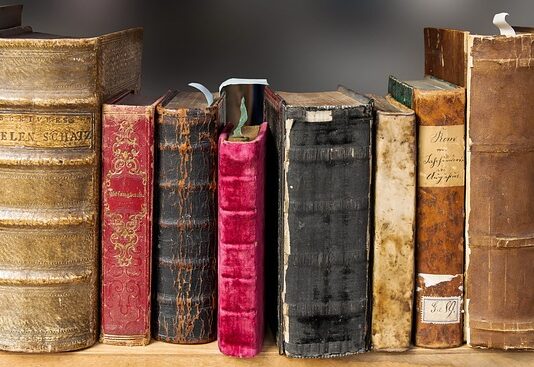 Jak się dzieli literatura?